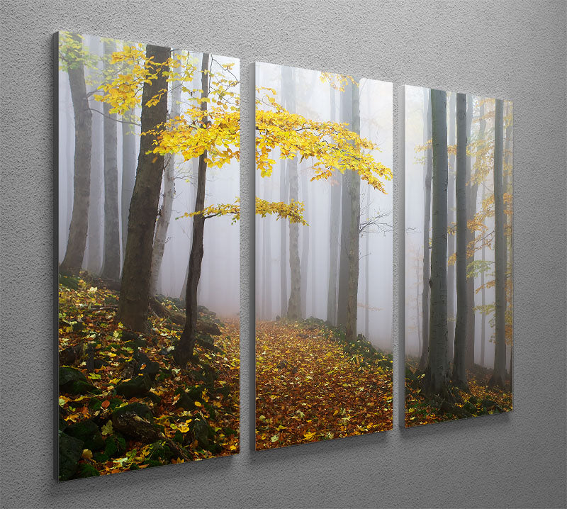 Autumn Fall Landscape 3 Split Panel Canvas Print - Canvas Art Rocks - 2
