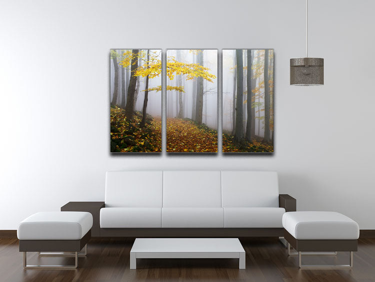 Autumn Fall Landscape 3 Split Panel Canvas Print - Canvas Art Rocks - 3