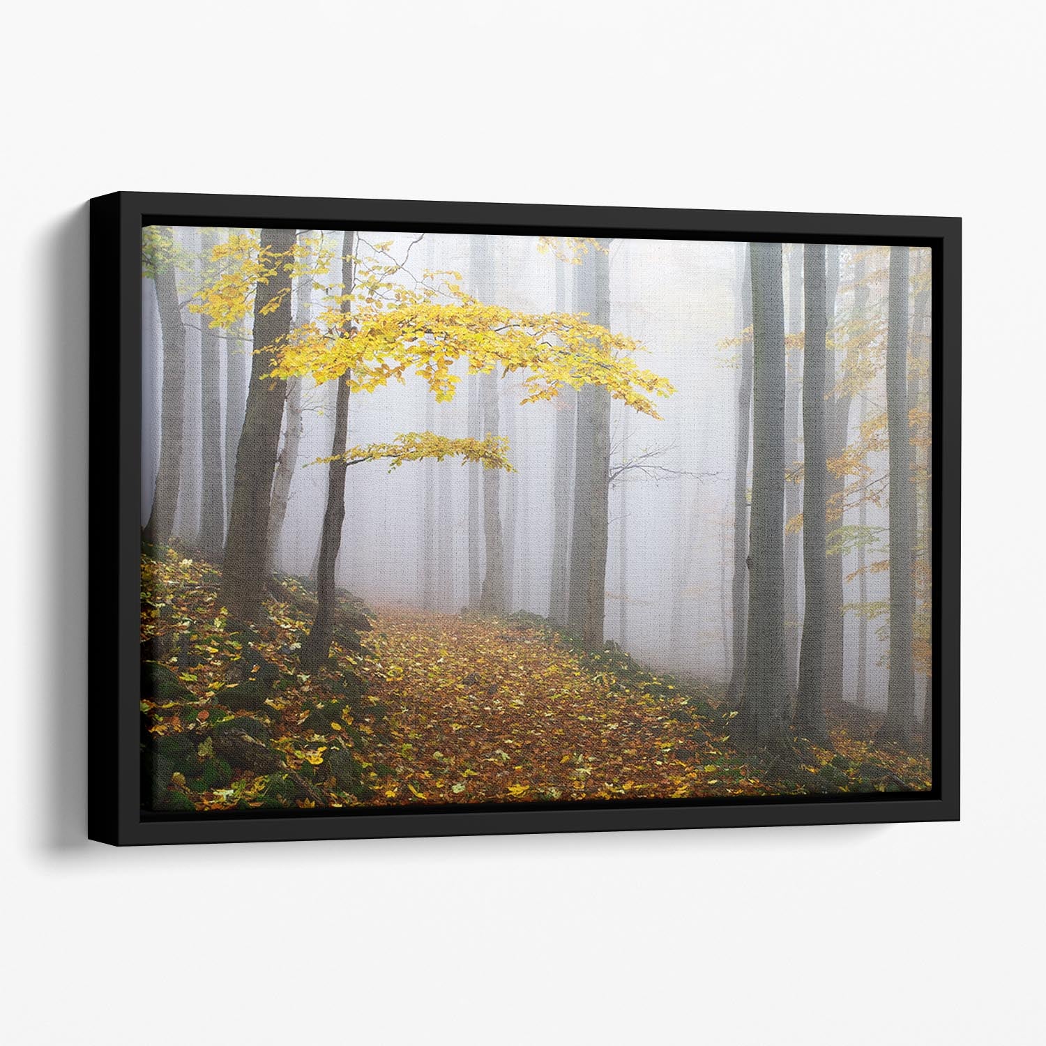 Autumn Fall Landscape Floating Framed Canvas - Canvas Art Rocks - 1