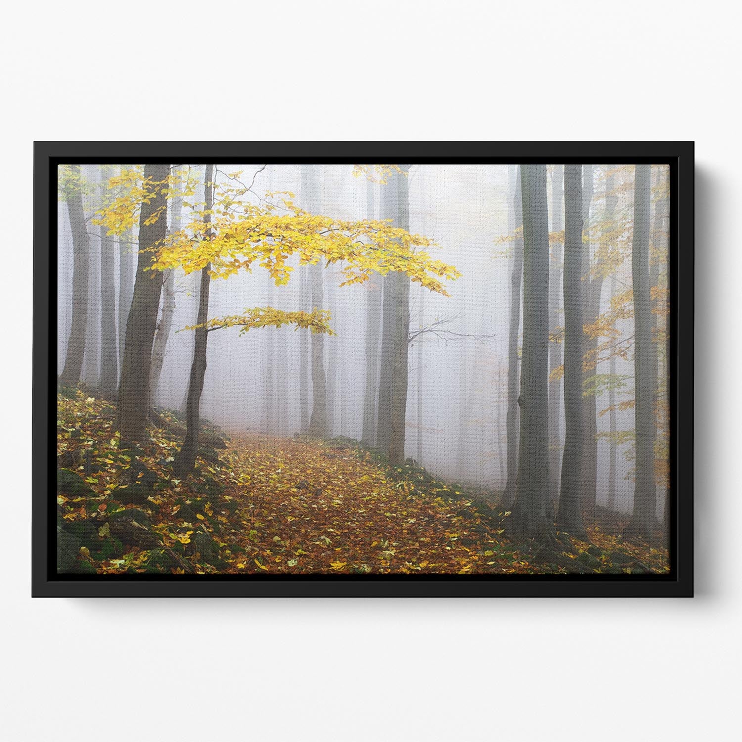 Autumn Fall Landscape Floating Framed Canvas - Canvas Art Rocks - 2