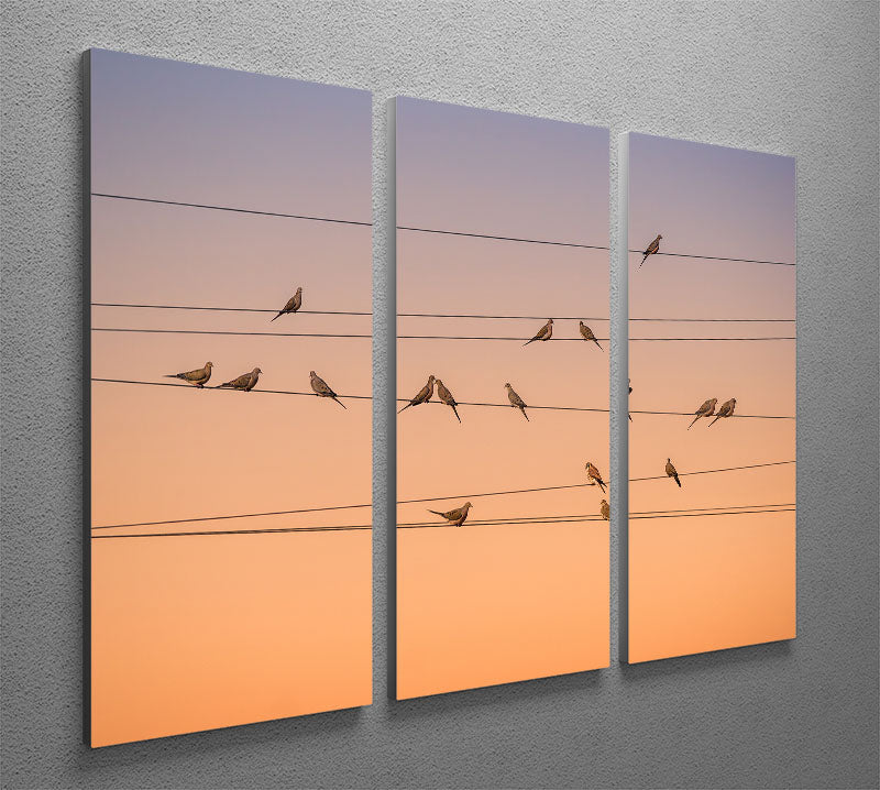 Sunrise Birds 3 Split Panel Canvas Print - Canvas Art Rocks - 2