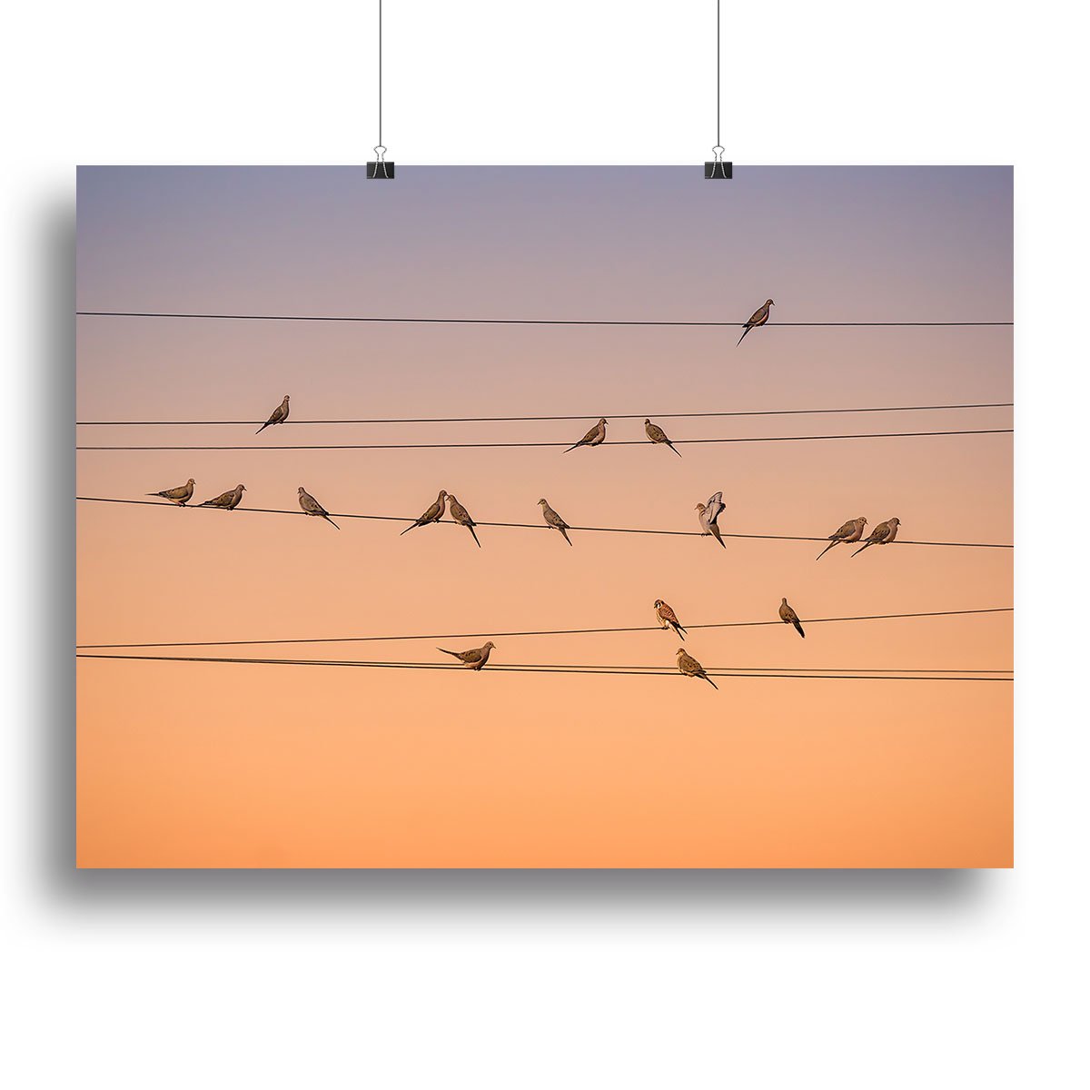 Sunrise Birds Canvas Print or Poster - Canvas Art Rocks - 2