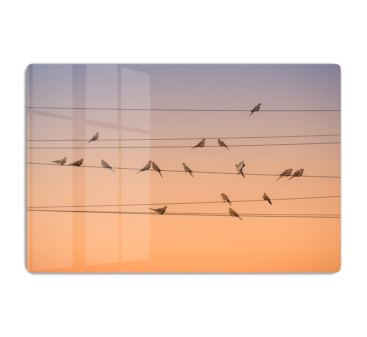 Sunrise Birds HD Metal Print - Canvas Art Rocks - 1