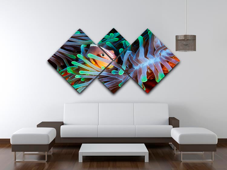 Clownfish 4 Square Multi Panel Canvas - Canvas Art Rocks - 3