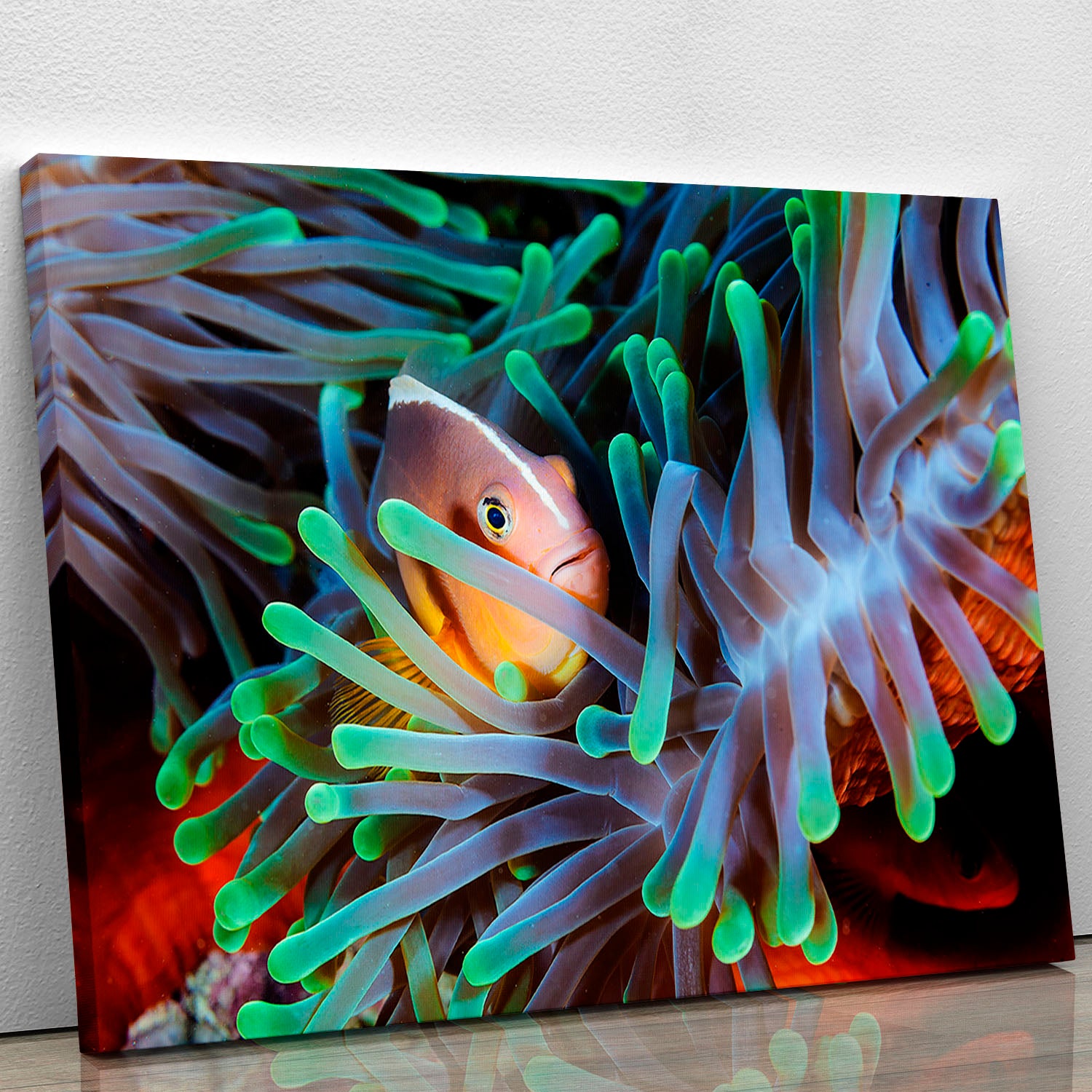 Clownfish Canvas Print or Poster - Canvas Art Rocks - 1