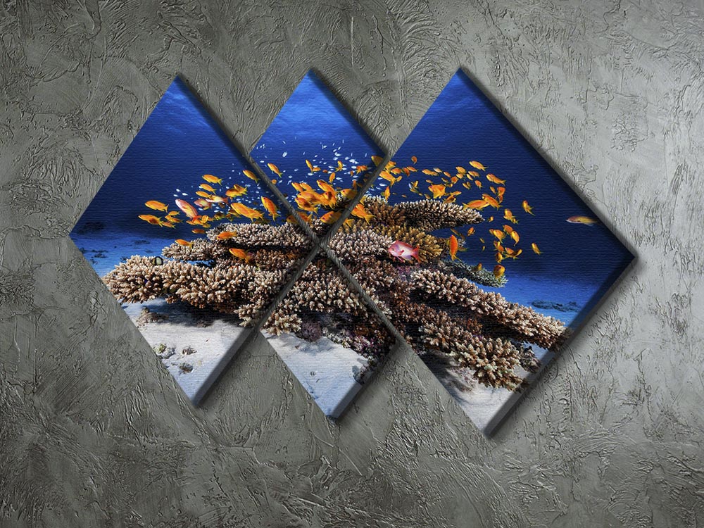 Marine Life 4 Square Multi Panel Canvas - Canvas Art Rocks - 2