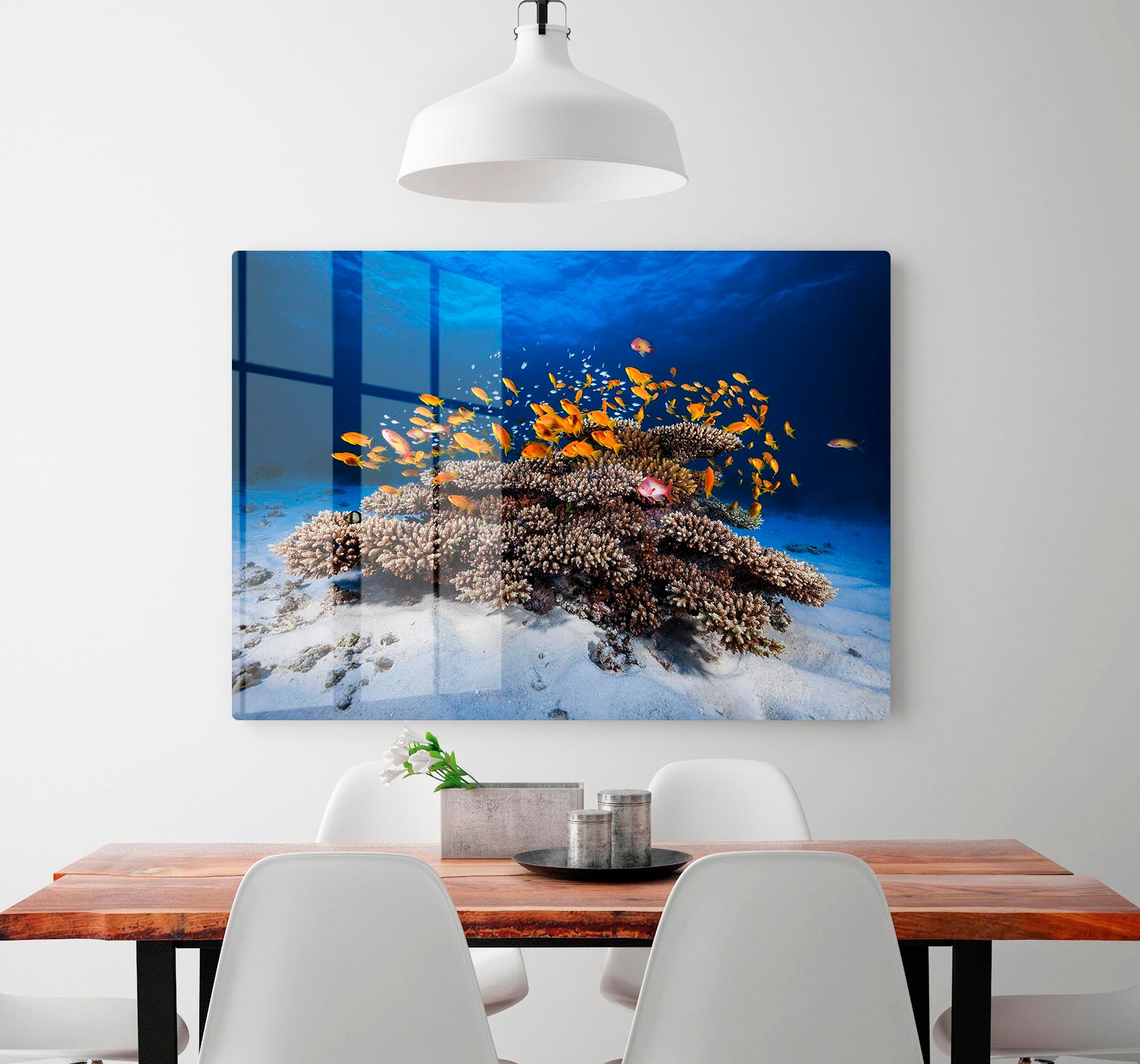 Marine Life HD Metal Print - Canvas Art Rocks - 2