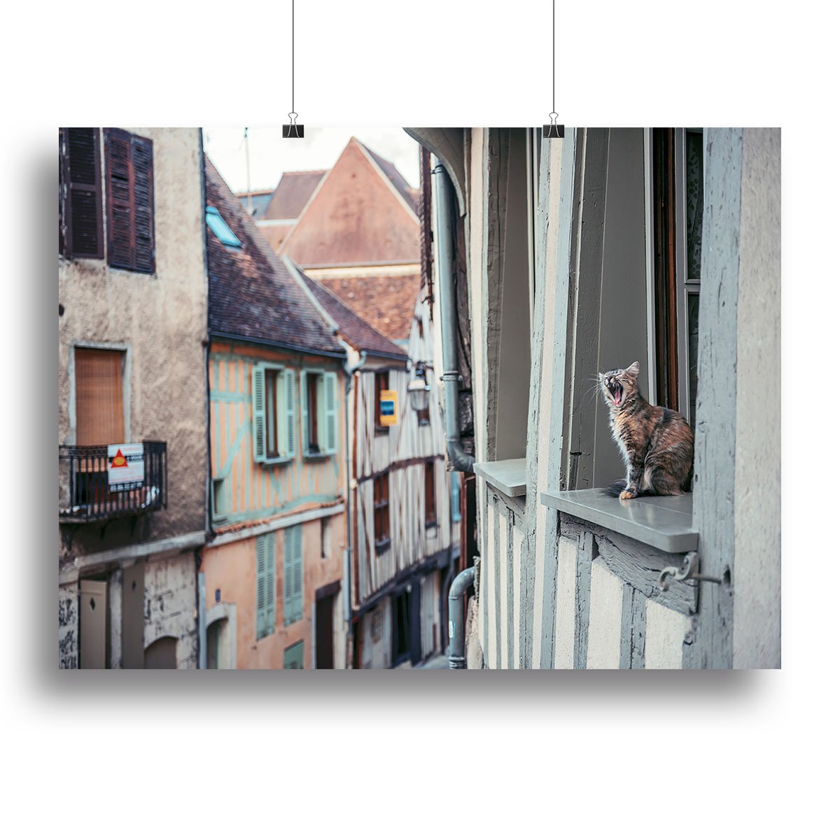 Cat In Window Canvas Print or Poster - Canvas Art Rocks - 2