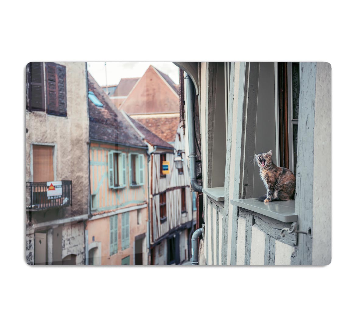 Cat In Window HD Metal Print - Canvas Art Rocks - 1