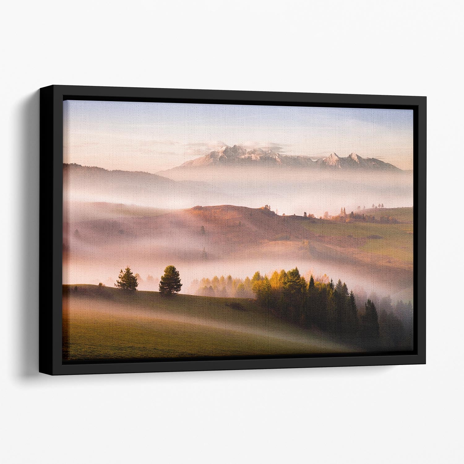 Just A Silence Floating Framed Canvas - Canvas Art Rocks - 1