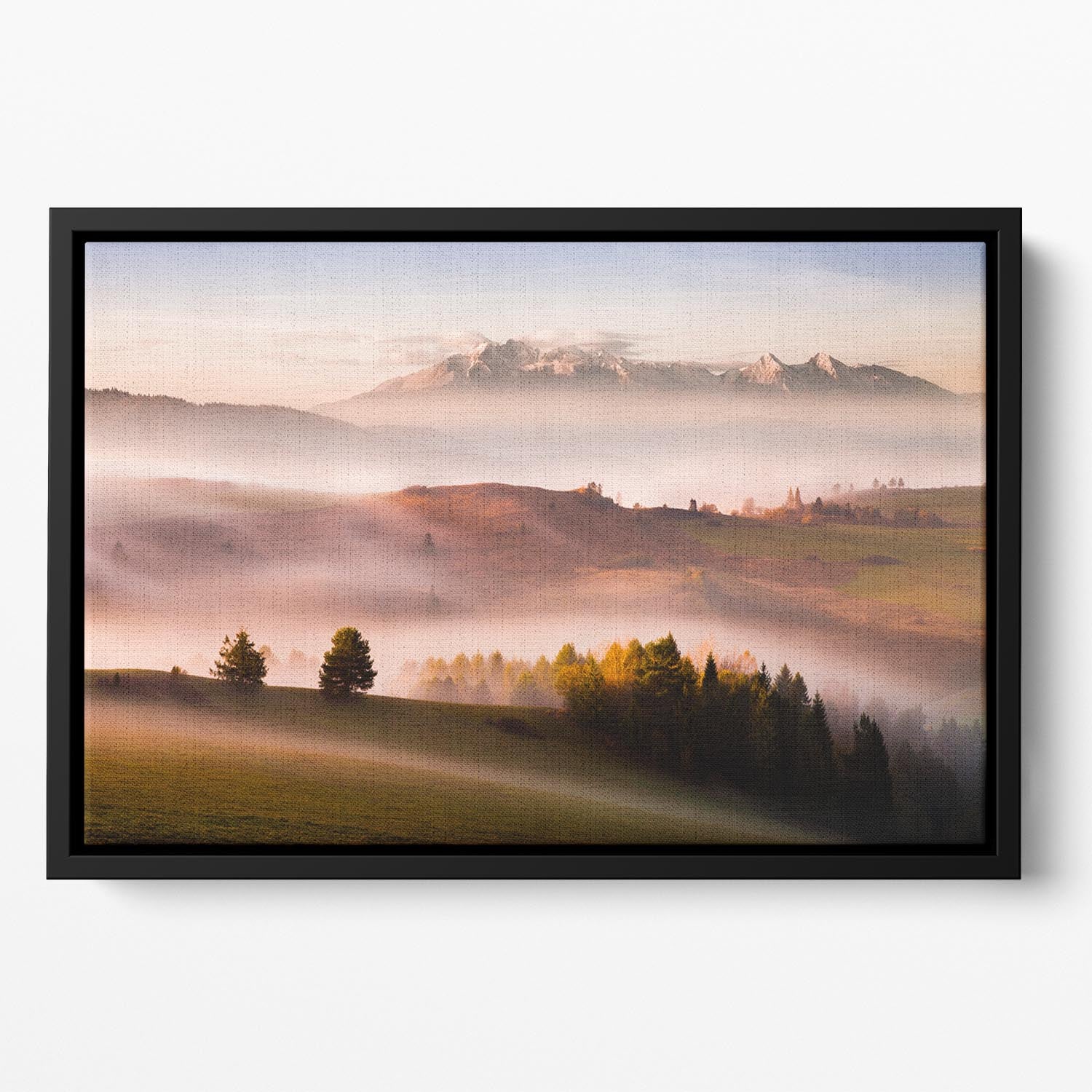 Just A Silence Floating Framed Canvas - Canvas Art Rocks - 2