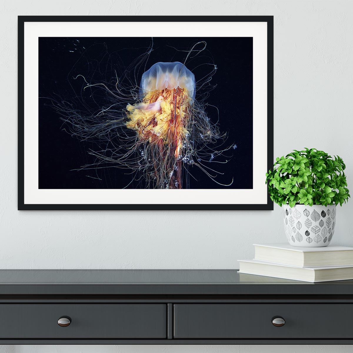 Giant Lion's Mane Framed Print - Canvas Art Rocks - 1