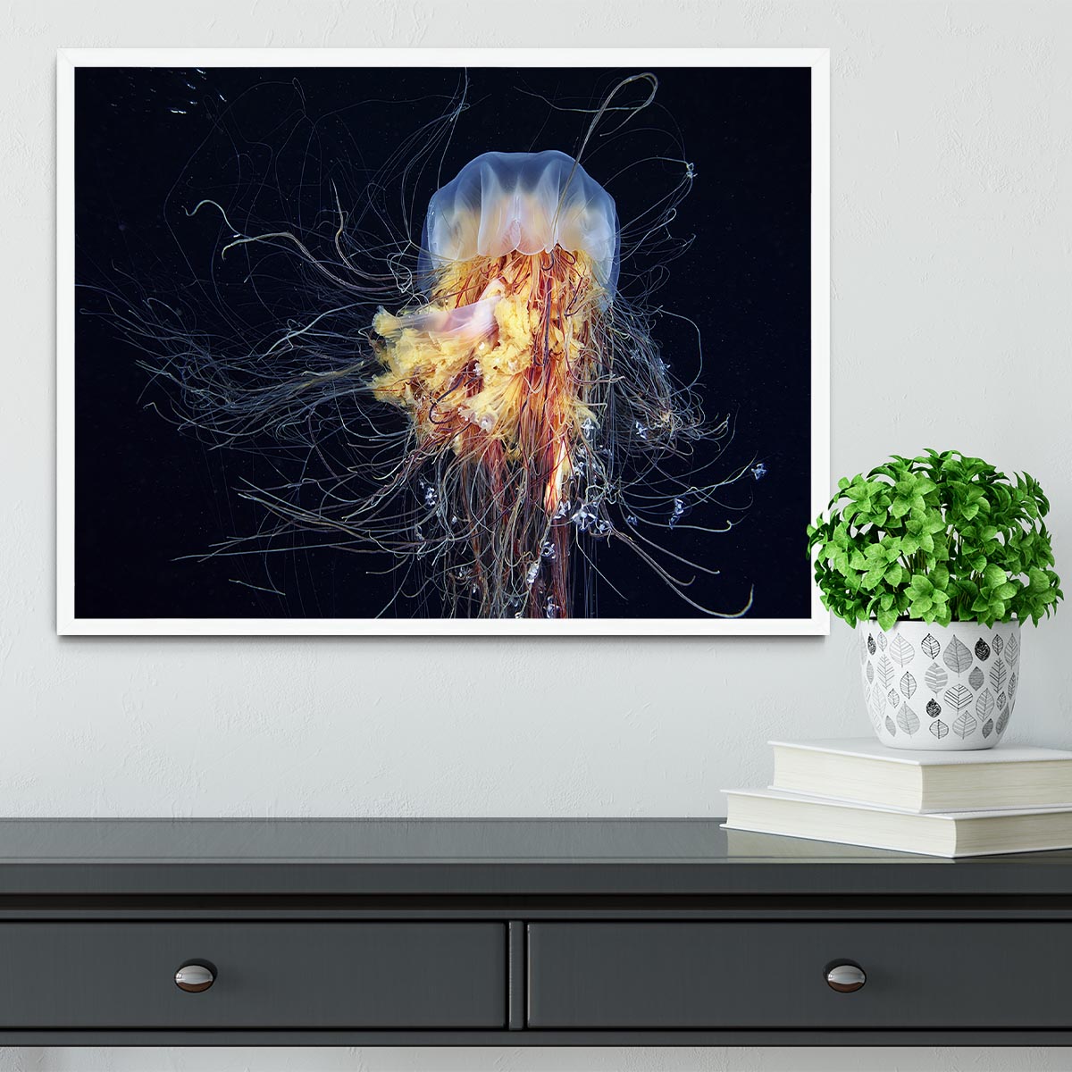 Giant Lion's Mane Framed Print - Canvas Art Rocks -6