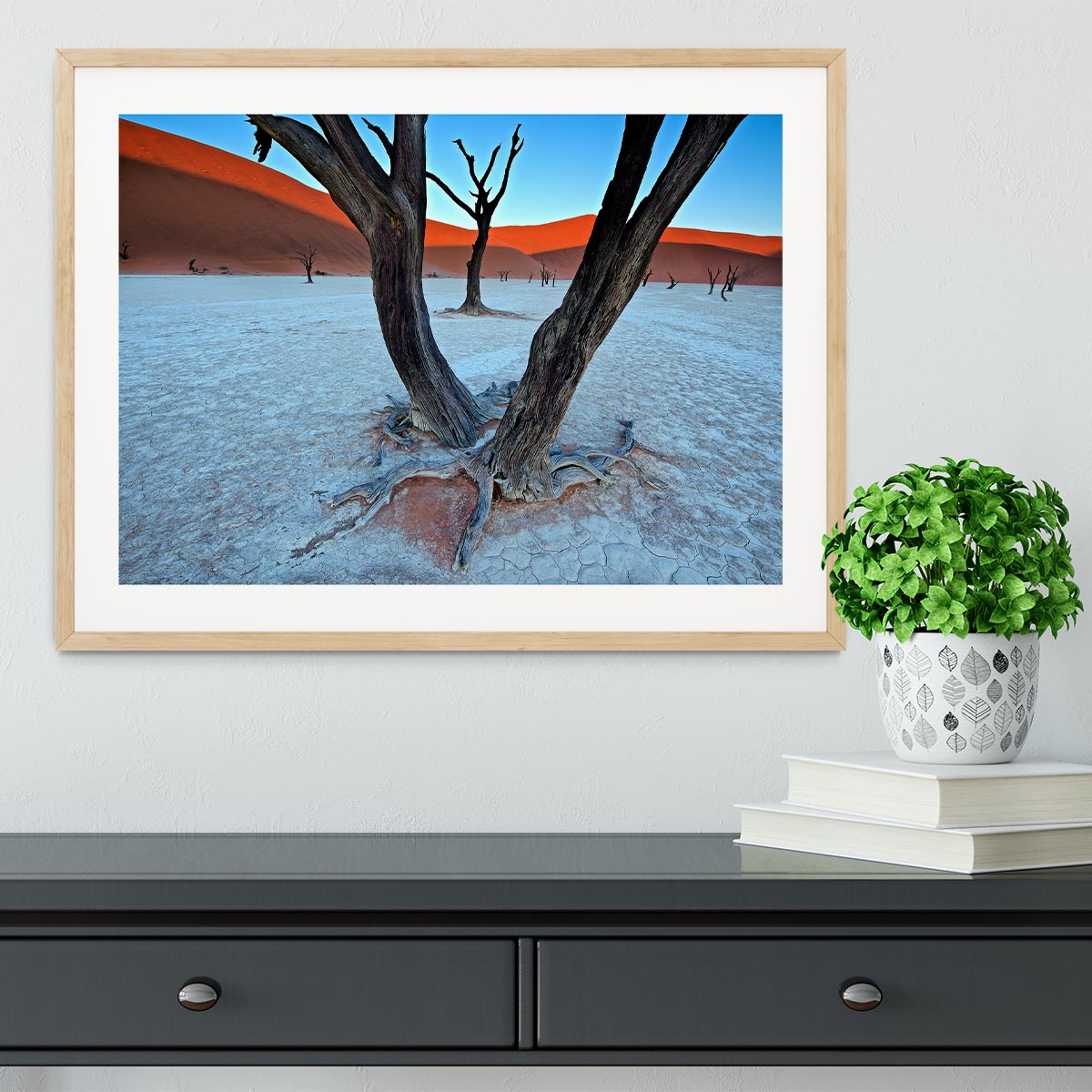 Ancient Trees In The Vlei Framed Print - Canvas Art Rocks - 3