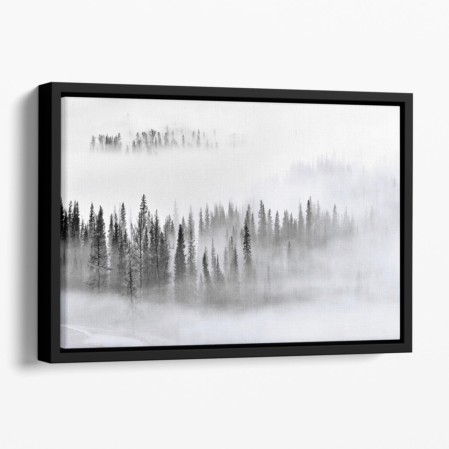 Foggy Forest Floating Framed Canvas - Canvas Art Rocks - 1