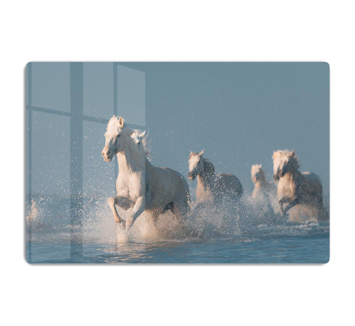 Wite Horses Running In Water HD Metal Print - Canvas Art Rocks - 1