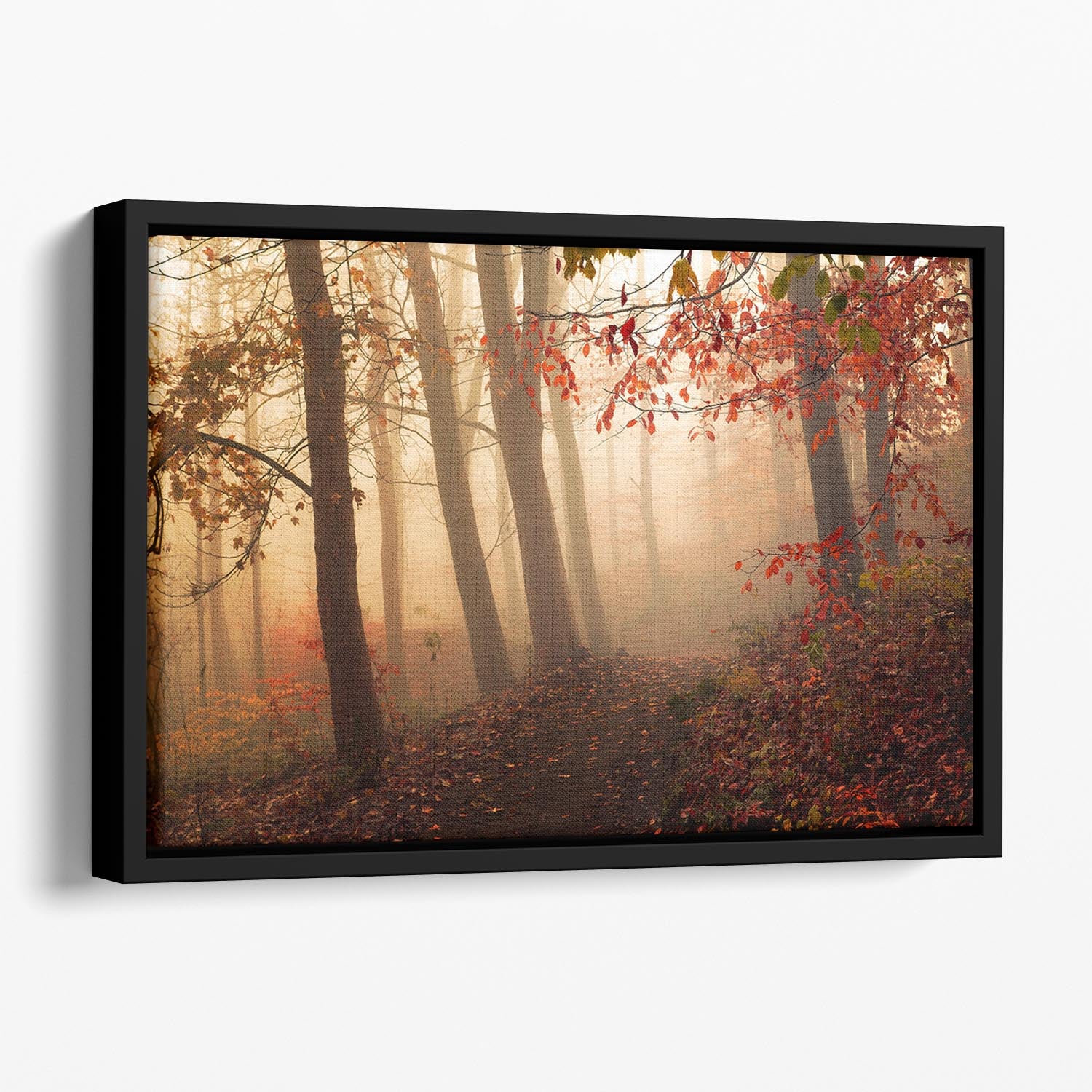 Towards The Light Floating Framed Canvas - Canvas Art Rocks - 1