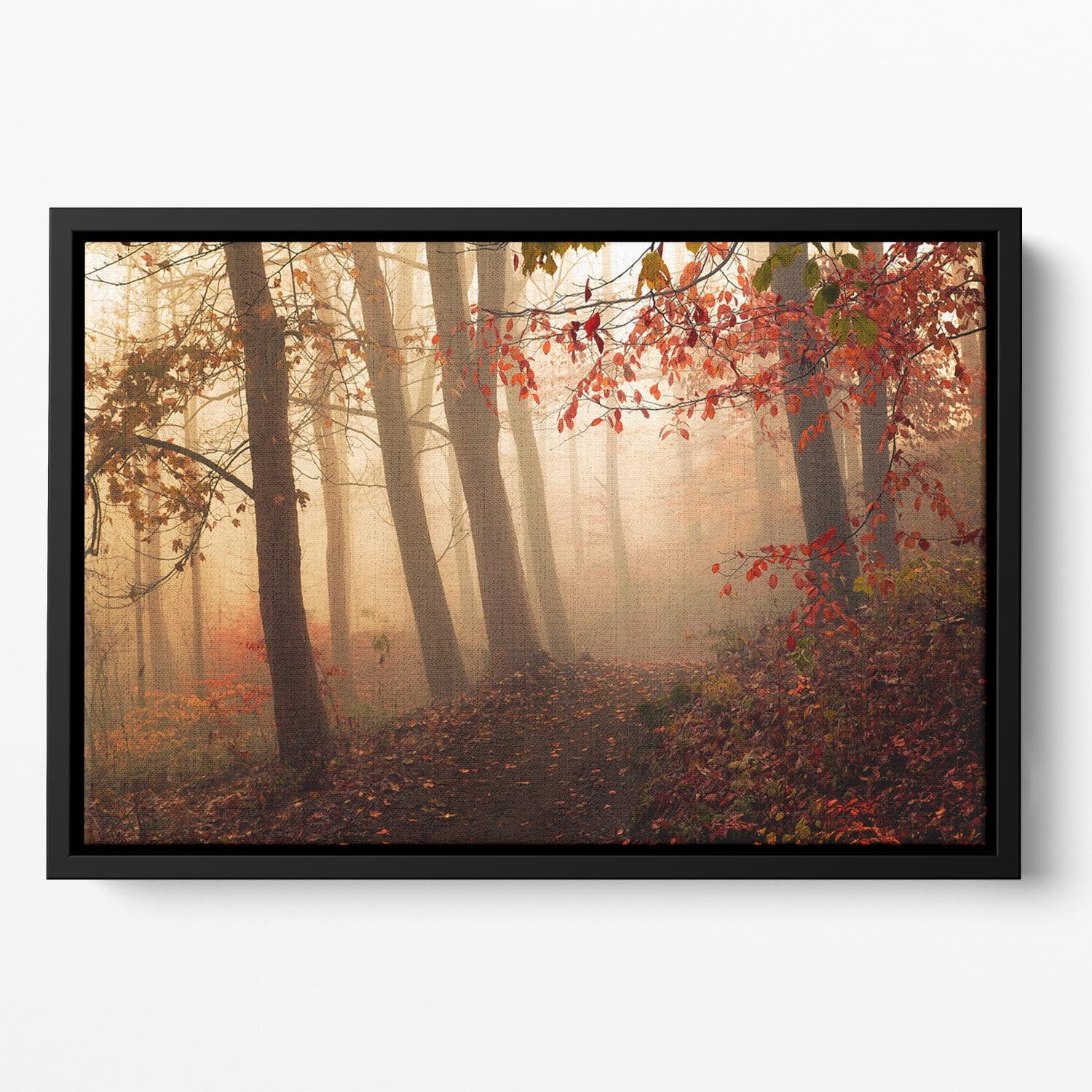 Towards The Light Floating Framed Canvas - Canvas Art Rocks - 2