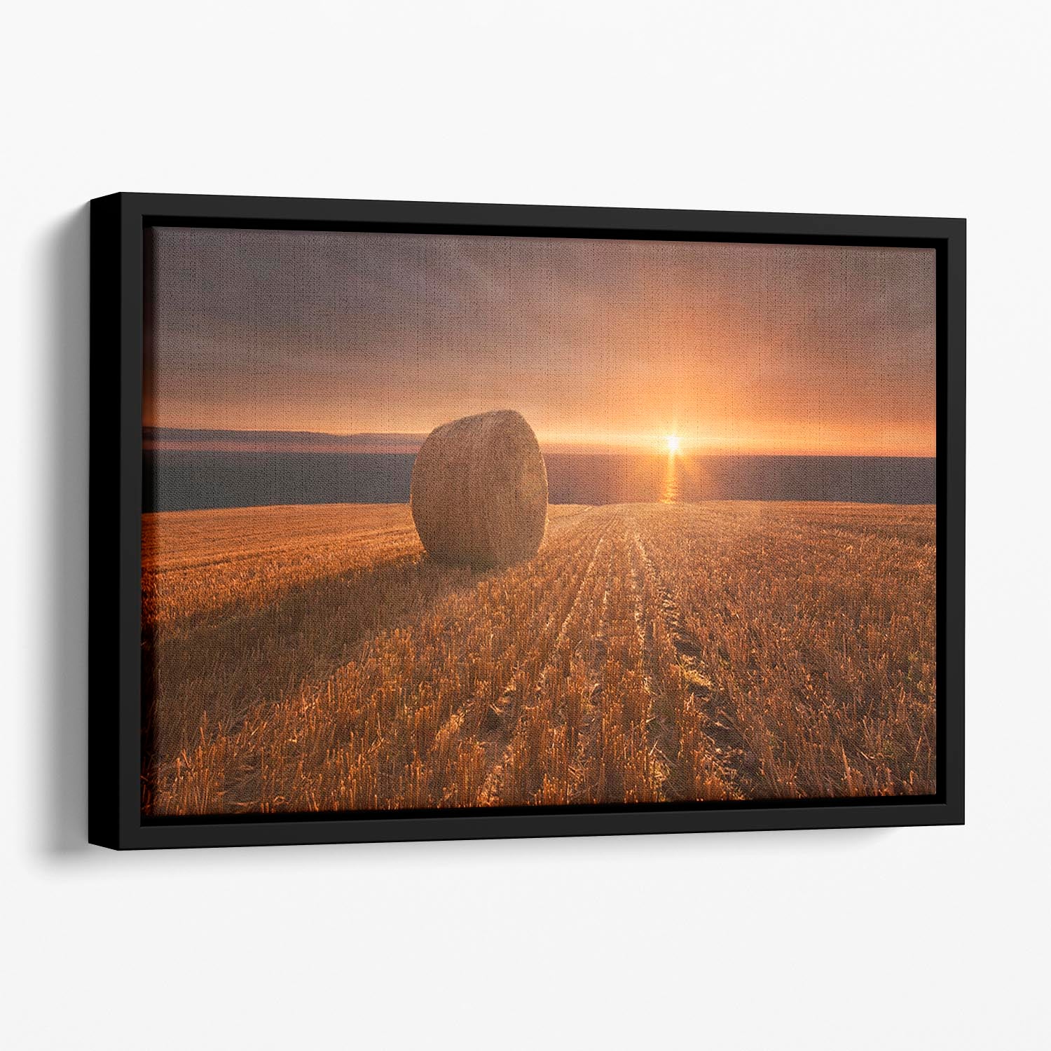 Gold Harvest Floating Framed Canvas - Canvas Art Rocks - 1