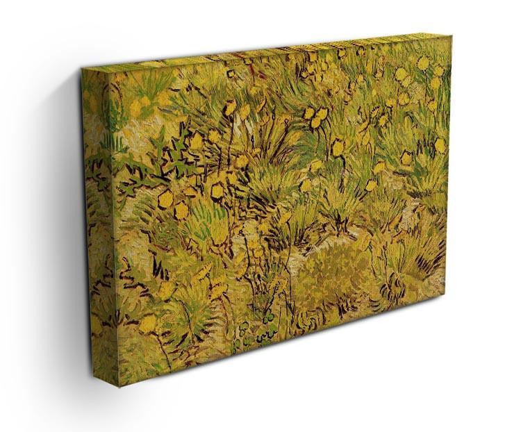 A Field of Yellow Flowers by Van Gogh Canvas Print & Poster - Canvas Art Rocks - 3