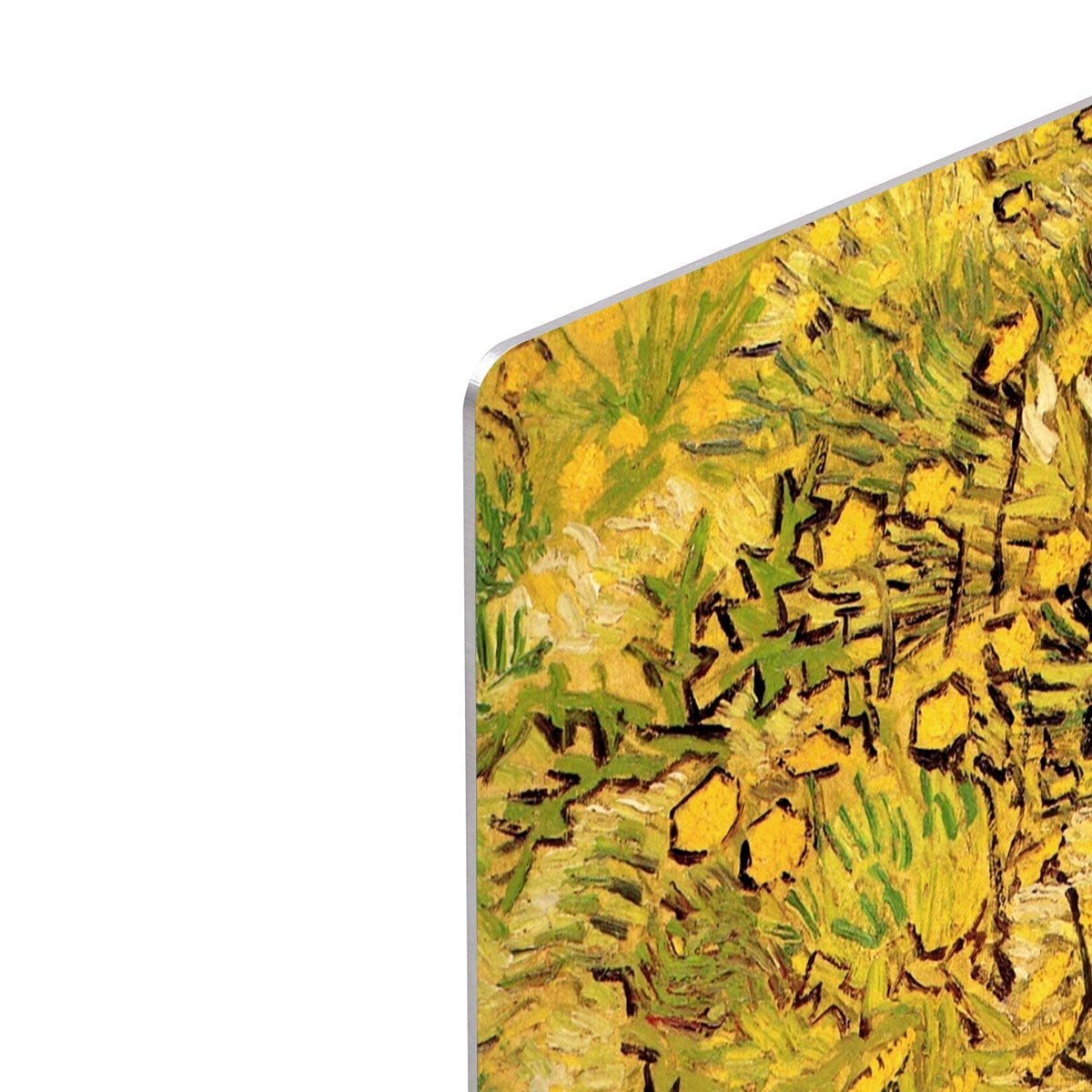 A Field of Yellow Flowers by Van Gogh HD Metal Print