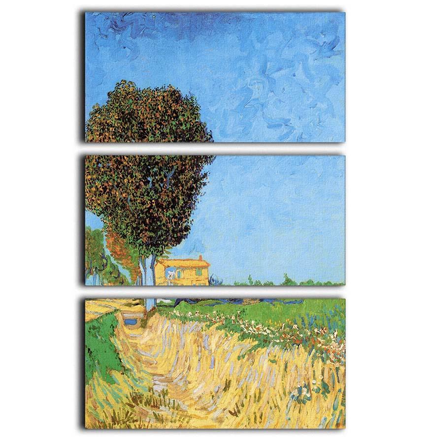 A Lane near Arles by Van Gogh 3 Split Panel Canvas Print - Canvas Art Rocks - 1