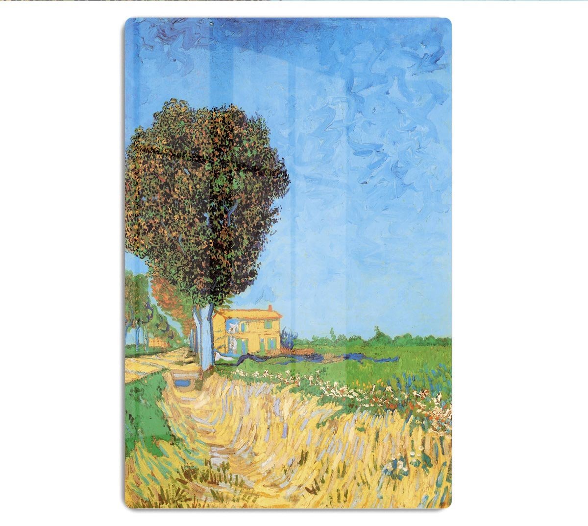 A Lane near Arles by Van Gogh HD Metal Print