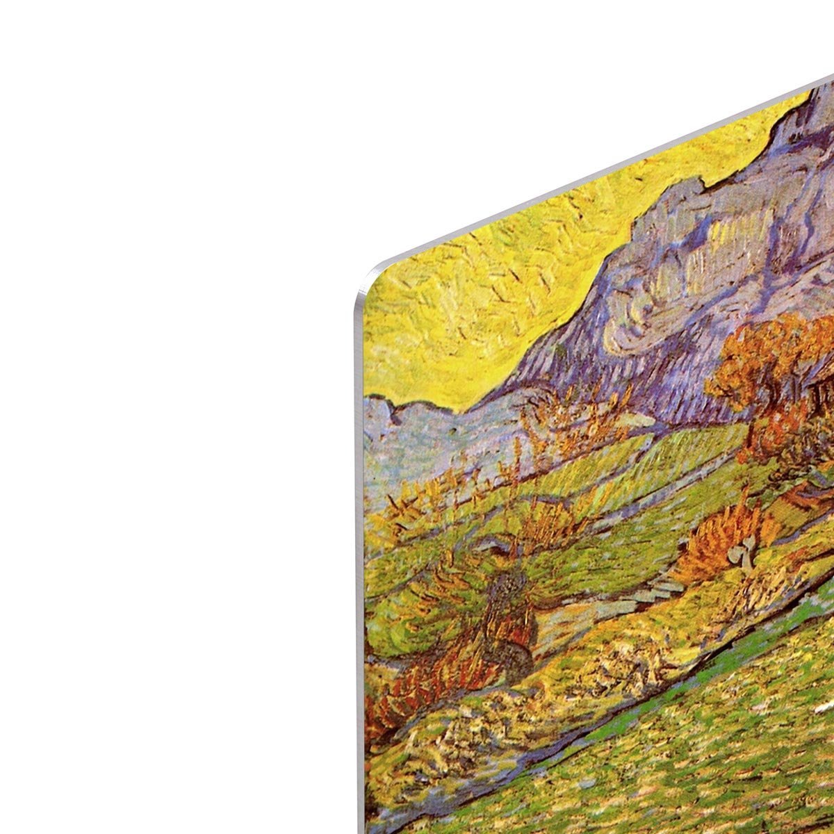 A Meadow in the Mountains Le Mas de Saint-Paul by Van Gogh HD Metal Print