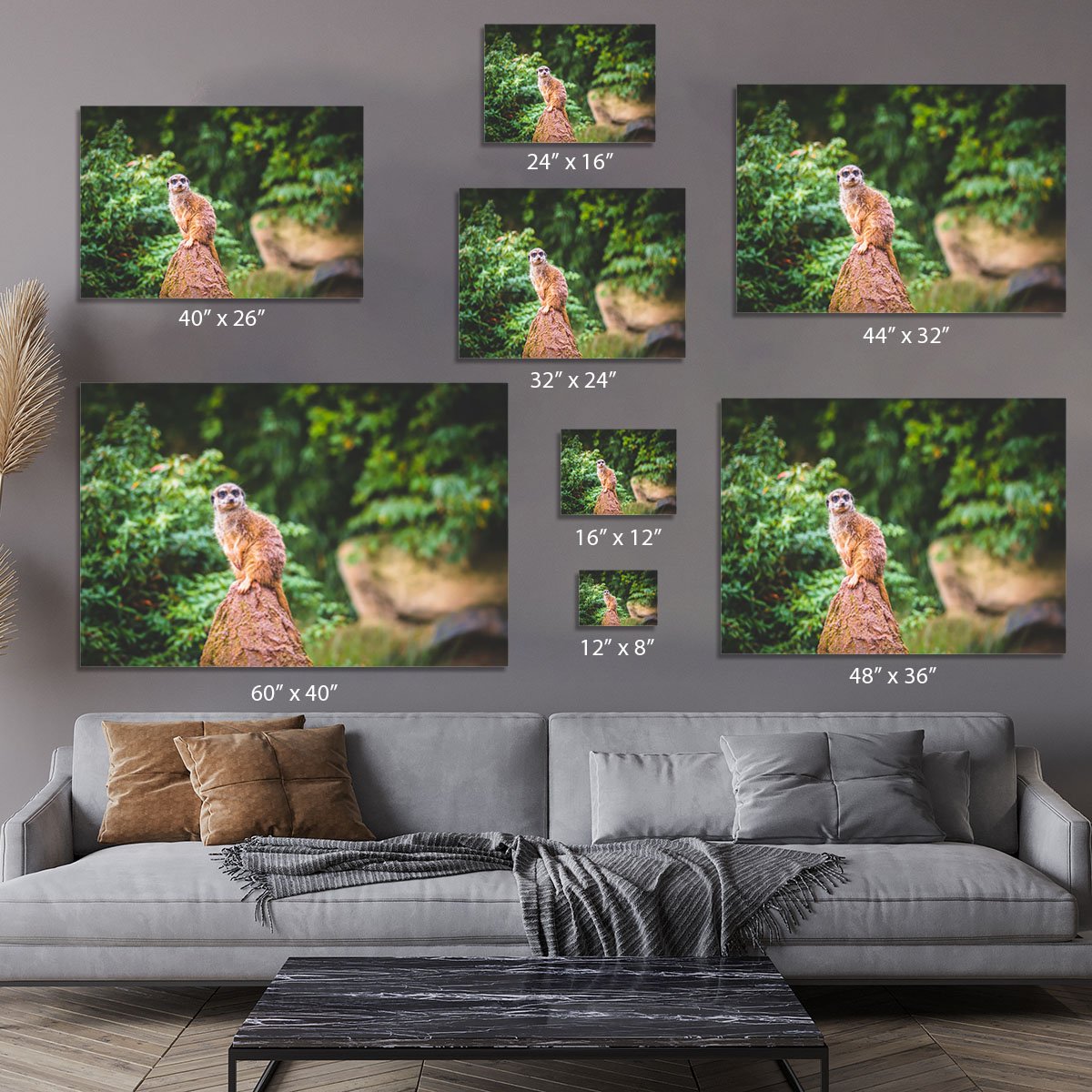A Meerkats full attention Canvas Print or Poster