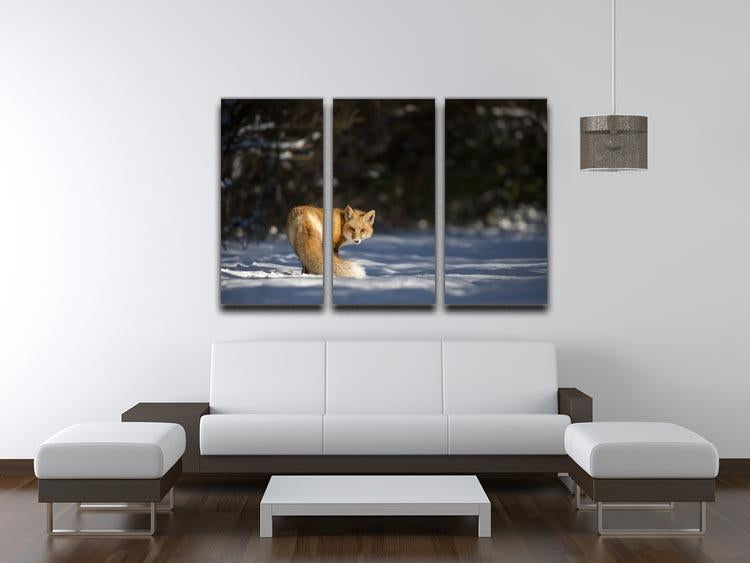 A Red Fox turns back to look at the camera 3 Split Panel Canvas Print - Canvas Art Rocks - 3