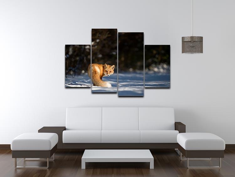 A Red Fox turns back to look at the camera 4 Split Panel Canvas - Canvas Art Rocks - 3