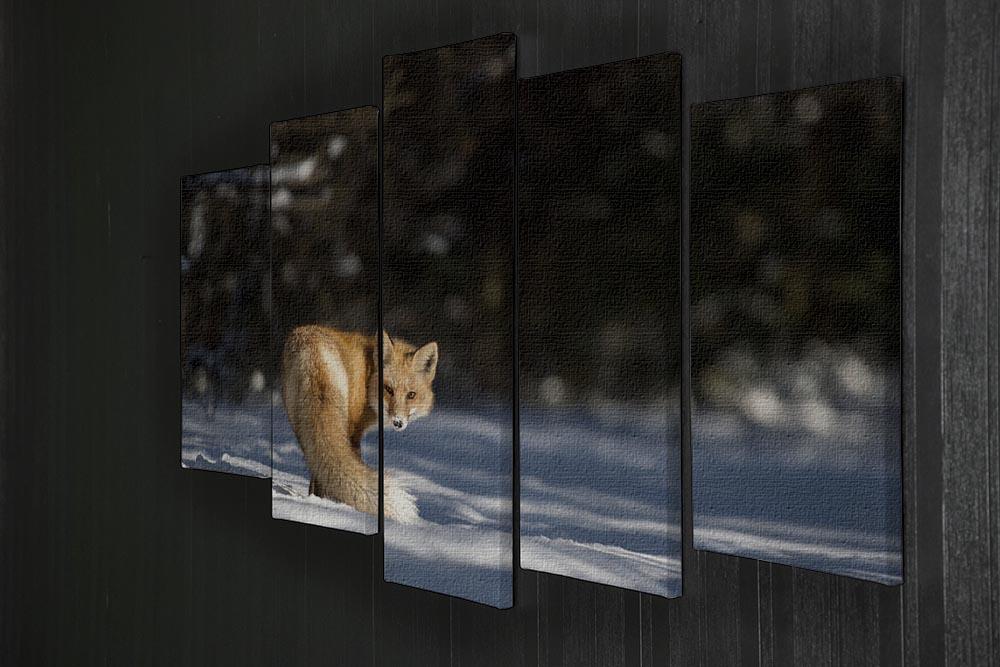 A Red Fox turns back to look at the camera 5 Split Panel Canvas - Canvas Art Rocks - 2