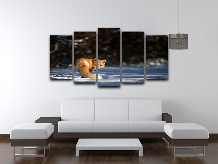 A Red Fox turns back to look at the camera 5 Split Panel Canvas - Canvas Art Rocks - 3