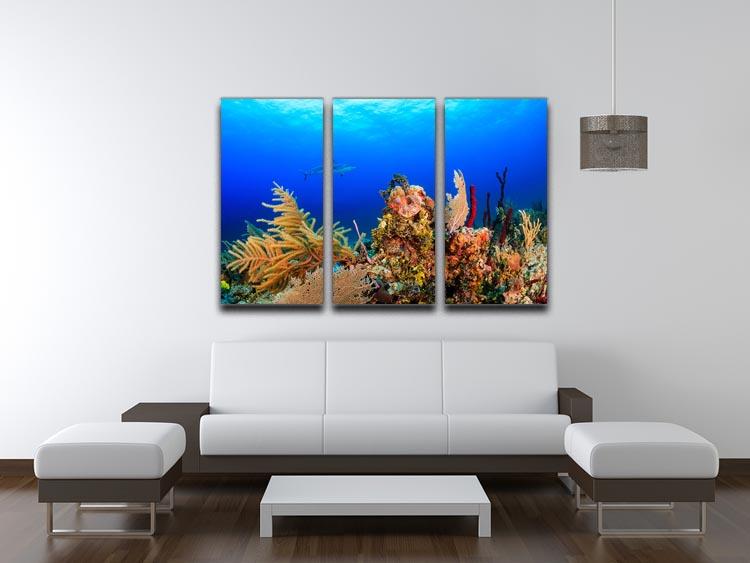 A Reef shark swimming on a tropical coral reef 3 Split Panel Canvas Print - Canvas Art Rocks - 3