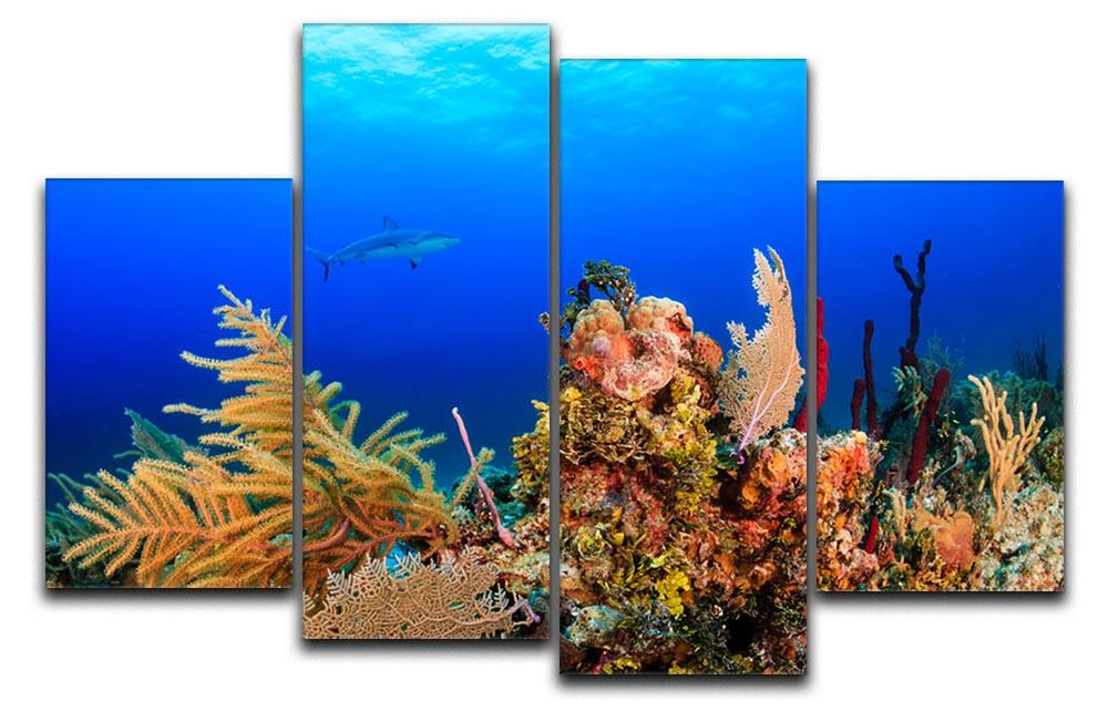 A Reef shark swimming on a tropical coral reef 4 Split Panel Canvas - Canvas Art Rocks - 1