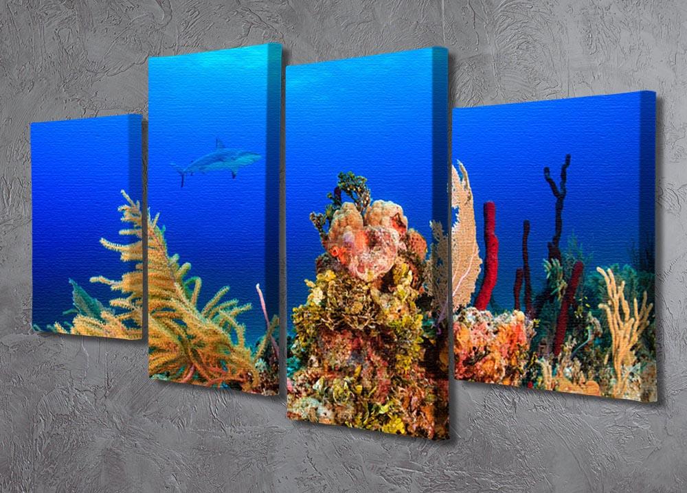 A Reef shark swimming on a tropical coral reef 4 Split Panel Canvas - Canvas Art Rocks - 2