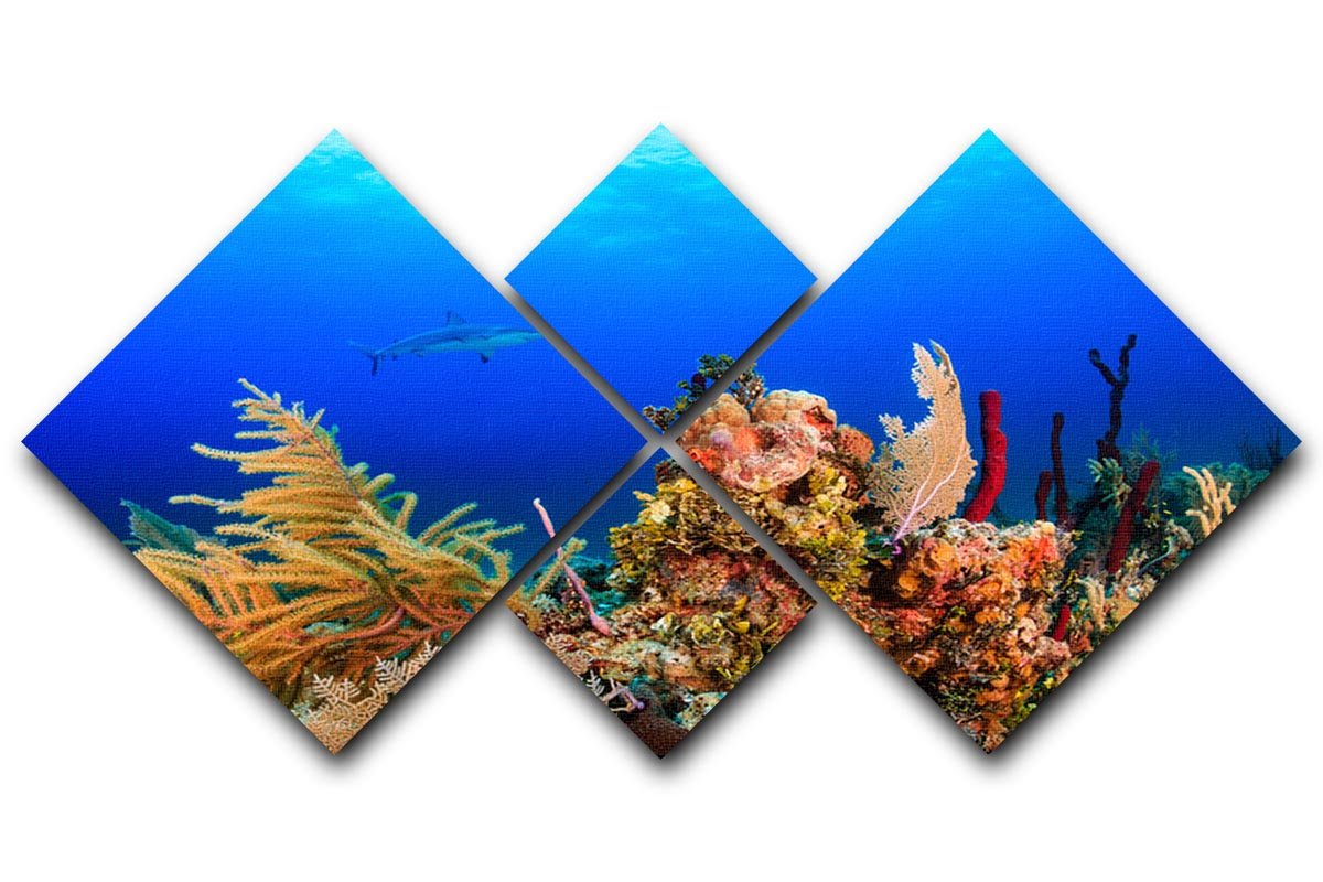 A Reef shark swimming on a tropical coral reef 4 Square Multi Panel Canvas - Canvas Art Rocks - 1