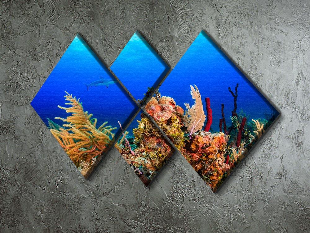 A Reef shark swimming on a tropical coral reef 4 Square Multi Panel Canvas - Canvas Art Rocks - 2