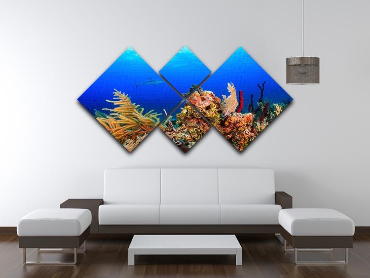A Reef shark swimming on a tropical coral reef 4 Square Multi Panel Canvas - Canvas Art Rocks - 3