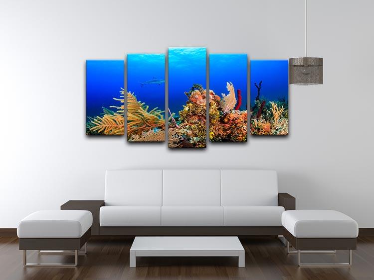 A Reef shark swimming on a tropical coral reef 5 Split Panel Canvas - Canvas Art Rocks - 3