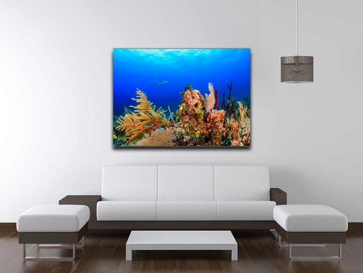 A Reef shark swimming on a tropical coral reef Canvas Print or Poster - Canvas Art Rocks - 4