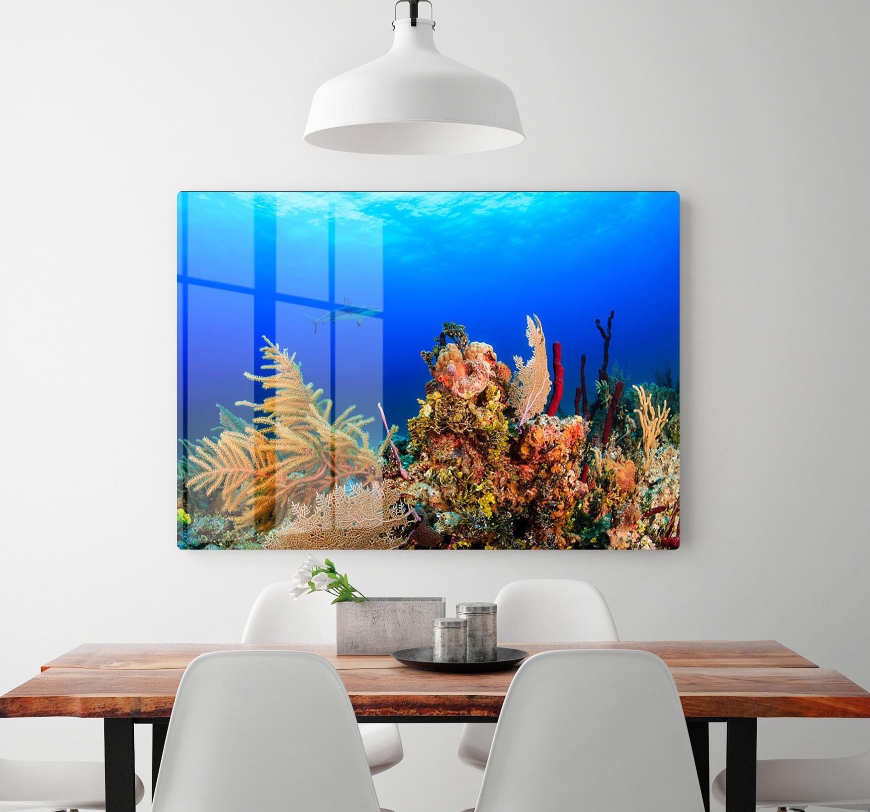 A Reef shark swimming on a tropical coral reef HD Metal Print - Canvas Art Rocks - 2