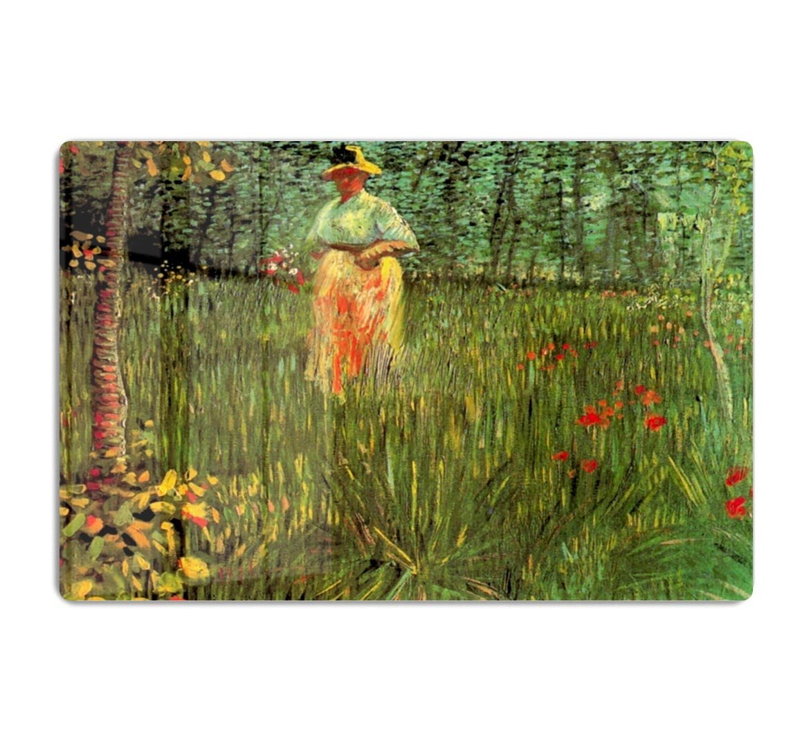 A Woman Walking in a Garden by Van Gogh HD Metal Print
