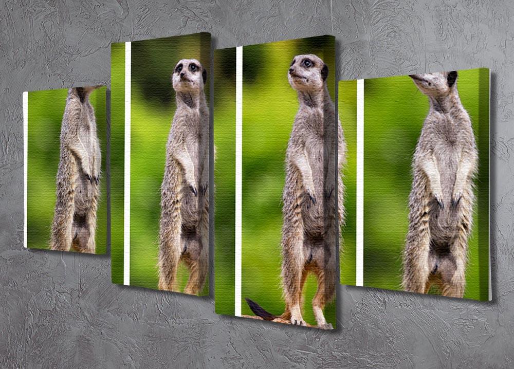 A collage of meerkats 4 Split Panel Canvas - Canvas Art Rocks - 2