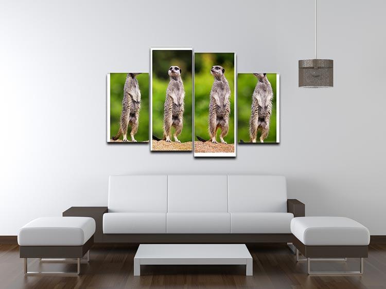 A collage of meerkats 4 Split Panel Canvas - Canvas Art Rocks - 3