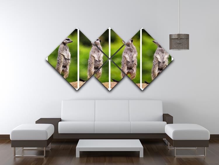 A collage of meerkats 4 Square Multi Panel Canvas - Canvas Art Rocks - 3