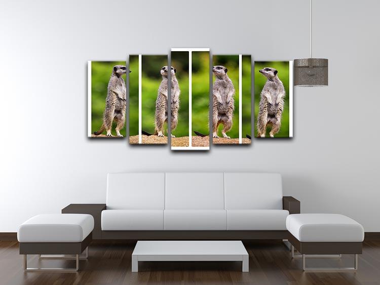 A collage of meerkats 5 Split Panel Canvas - Canvas Art Rocks - 3