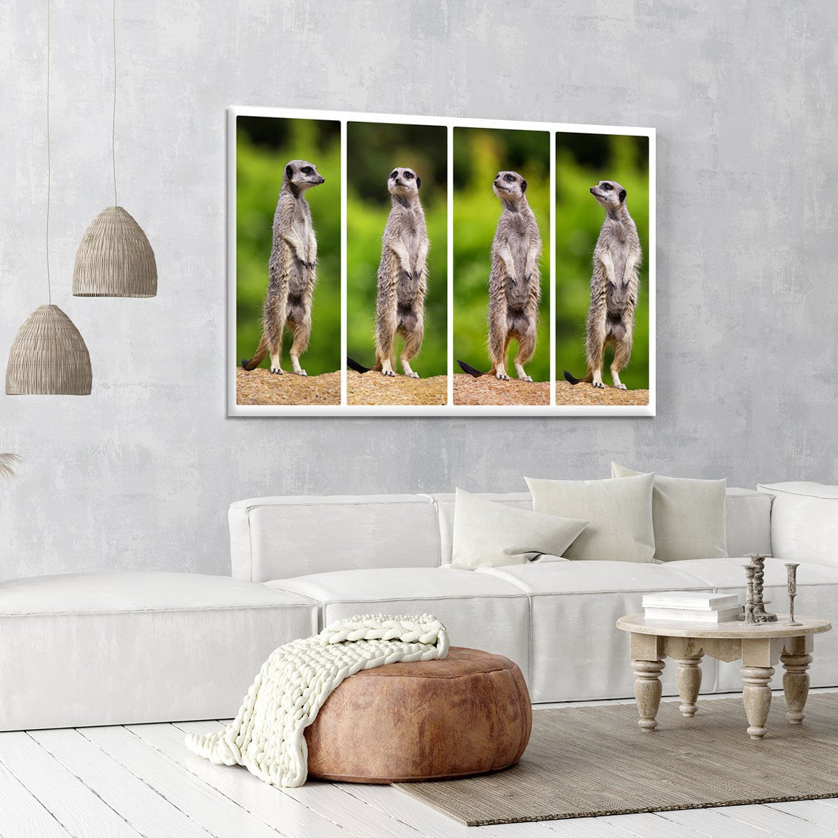 A collage of meerkats Canvas Print or Poster