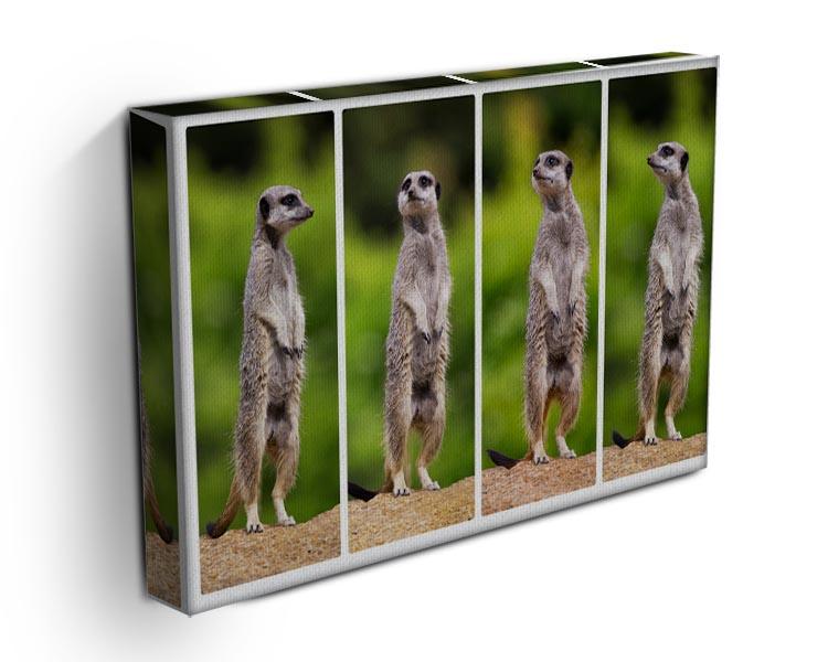 A collage of meerkats Canvas Print or Poster - Canvas Art Rocks - 3