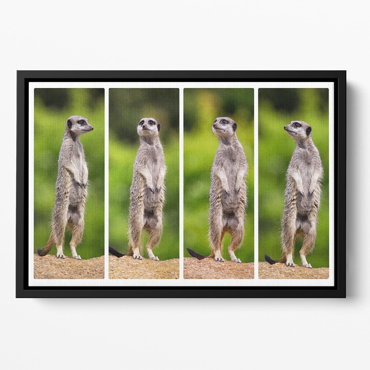 A collage of meerkats Floating Framed Canvas - Canvas Art Rocks - 2